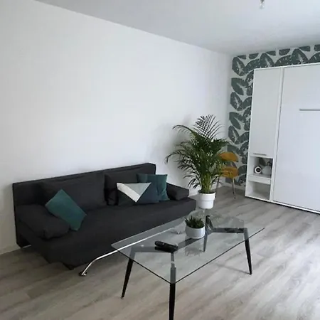 Un Havre De Paix En Plein Coeur De Pres Chu Apartment Clermont-Ferrand